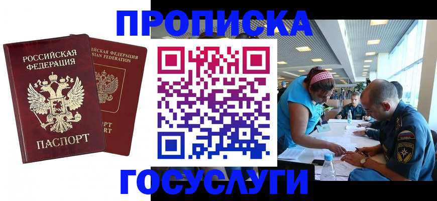 прописка поиск в Камчатской области